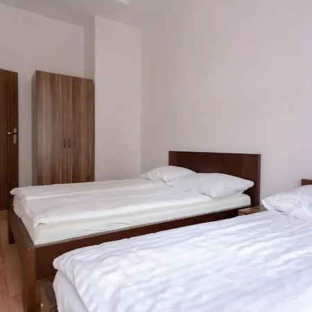 Koral Krynica Morska